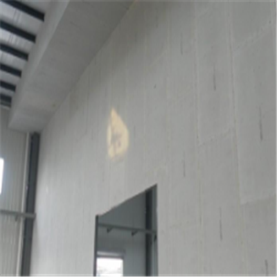 永年宁波ALC板|EPS加气板隔墙与混凝土整浇联接的实验研讨